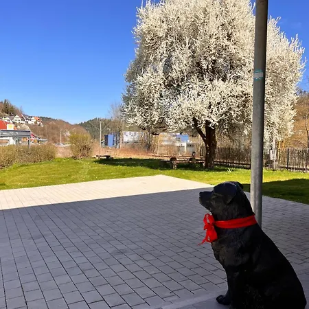 Georg Gaestehaus In 3*