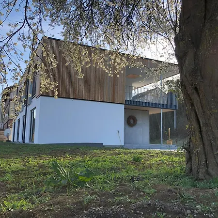 Georg Gaestehaus In 3*