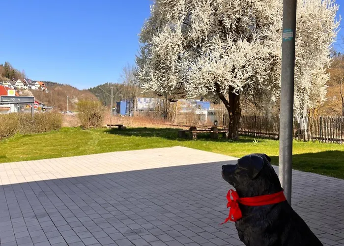 Georg Gaestehaus In 3*